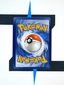 Arrokuda SHFSV31 EN EX