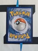 Reshiram & Zekrom GX CEC222 DE EX