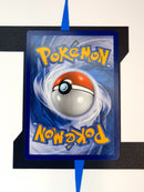 Turtok & Plinfa GX CEC253 DE NM